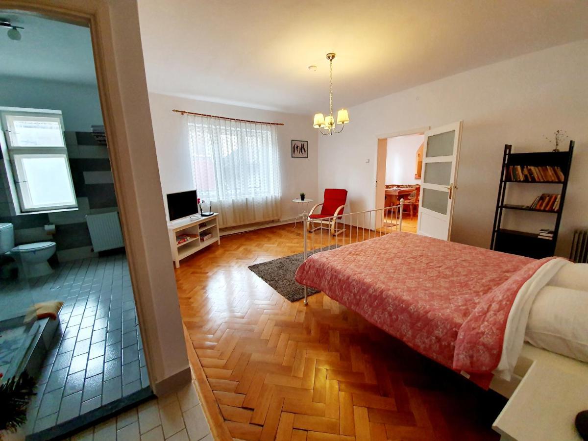 Luk Old Town Apartment Nagyszeben Kültér fotó